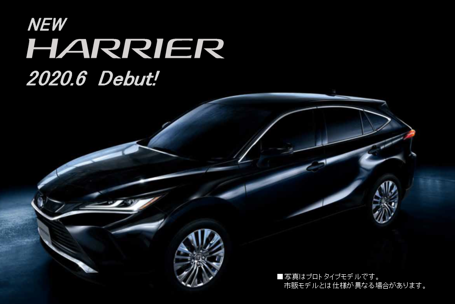 新型ハリアー事前SP用