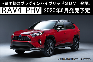 RAV4PHVティザーバナーSP用