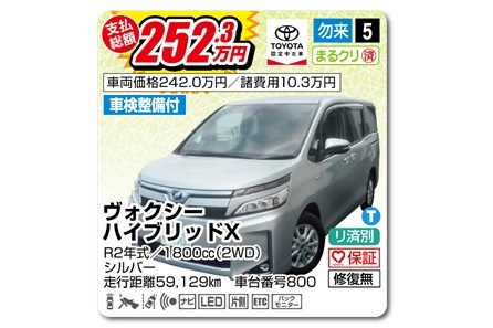 2024.10中古車3