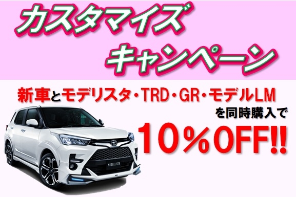 カスタマイズ2026.3